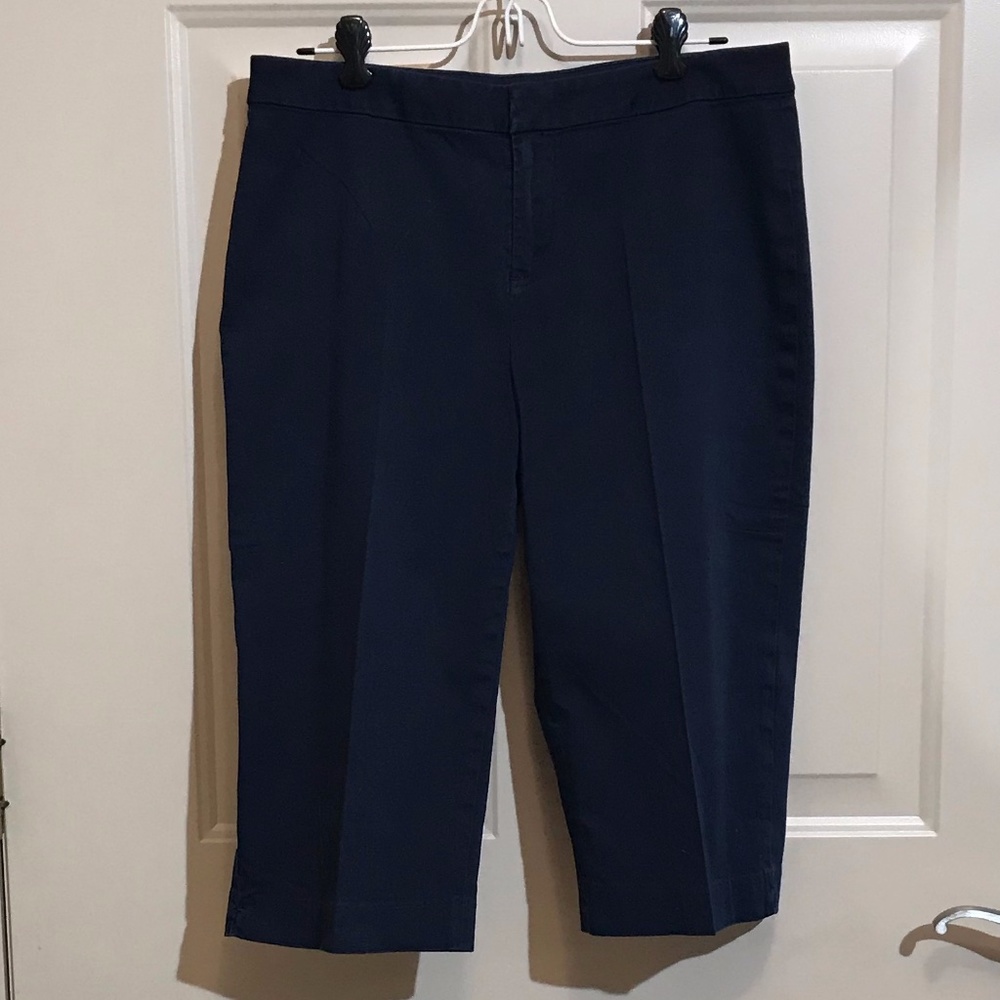 Coldwater Creek Navy Capris Pants Size 10 Petite